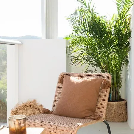 The Olive Boutique & Apartamento