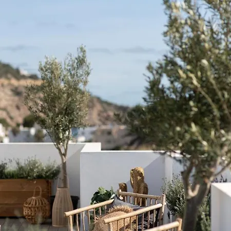 Apartamento The Olive Boutique & *
