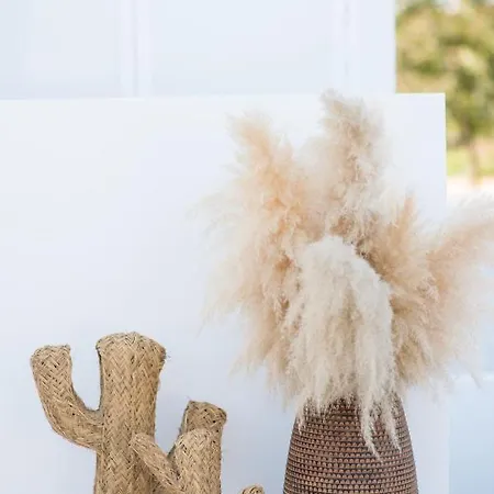 Apartamento The Olive Boutique & Cala Llonga (Ibiza)